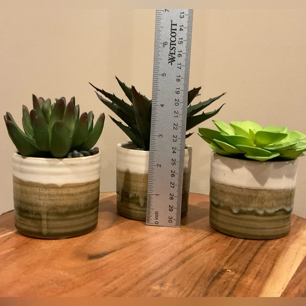 Set of 3 NEW Small Faux Succulents in Pots 🌵